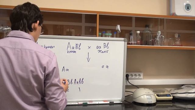 Эпистаз. Разбор задачи №4.4 смотреть онлайн