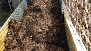 Посадка "Ленивого Картофеля" в ящик с травой, без земли, копки и ухода 6ч