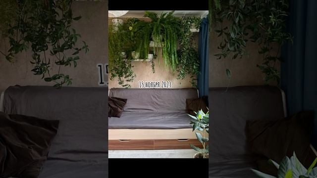 Цветочная стена в комнате дочери☺️ По ее лицу видно как она довольна..?☺️ смотреть онлайн