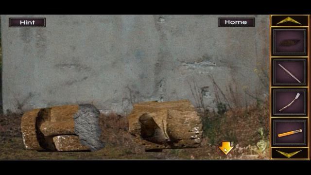Escape Game Puzzle Pursuit 04 walkthrough FEG. смотреть онлайн