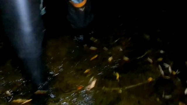 No.28 River play with my ZACTUS and Shibata's crotch high wader. смотреть онлайн