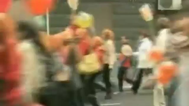 Амурский тигр на грани исчезновения смотреть онлайн