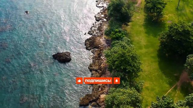 Саблиминалы денежный магнит смотреть онлайн