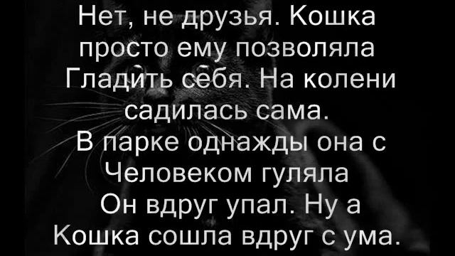 Стих про кошку смотреть онлайн