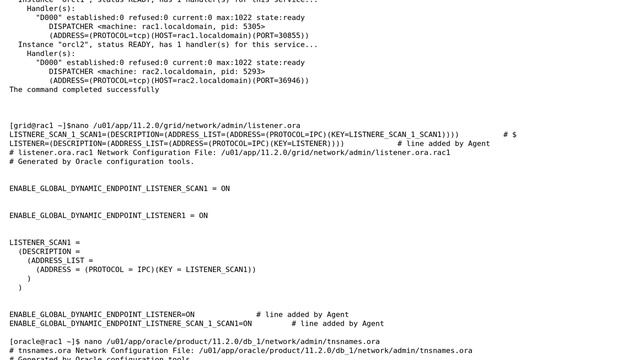 Databases: Oracle Rac With Scan Error смотреть онлайн