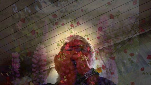 Hohner Blues Harp Flower's Blues смотреть онлайн