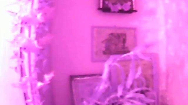 красная комната смотреть онлайн