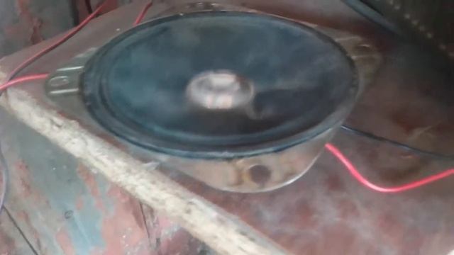 Паль динамиков (1)