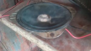 Паль динамиков (1)