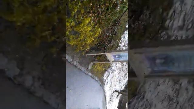 Wasserburg II. смотреть онлайн