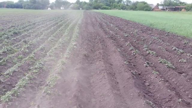 Окучник для картофеля мини трактор ДТЗ 244 JINMA / Підгортач для картоплі смотреть онлайн