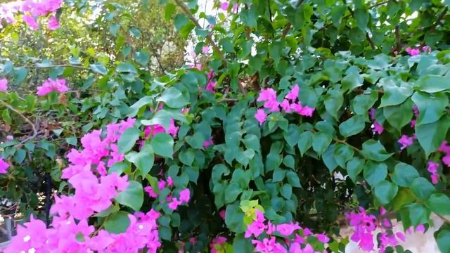 Кемер. Турция. Отдых в Кемере , Пляж Лунный Свет Мунлайт смотреть онлайн