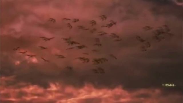 Planet P. Project - Armageddon смотреть онлайн