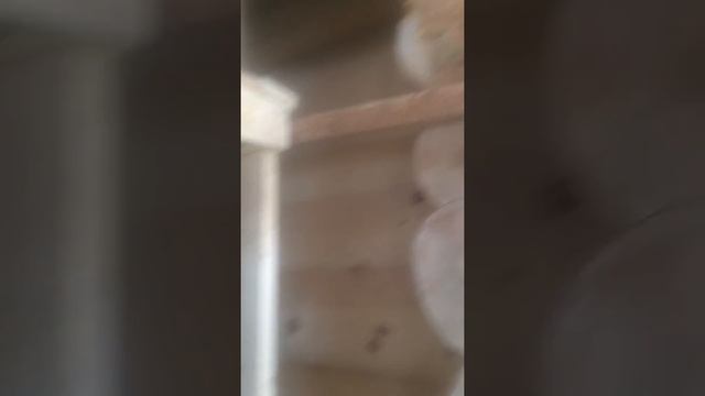 отбеливание деревянных срубов амиаком и перекисью водорода. результат смотреть онлайн