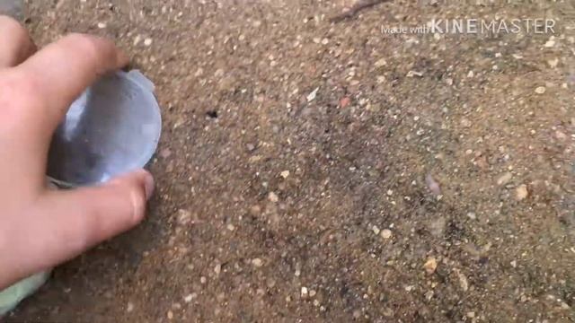 Как посадить апельсиновое дерево и лимон смотреть онлайн