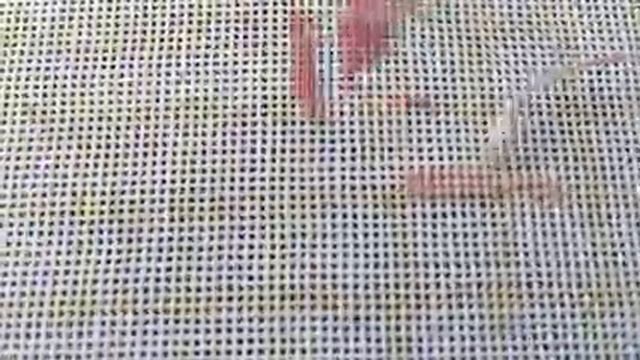 Вышивка в технике гобелен Моя техника вышивки + закрепление нити на изнанке и на лицевой стороне смотреть онлайн