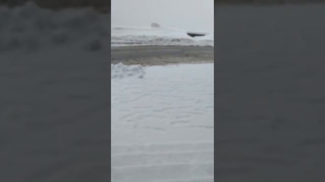 приехали в отель 4 звезды смотреть онлайн