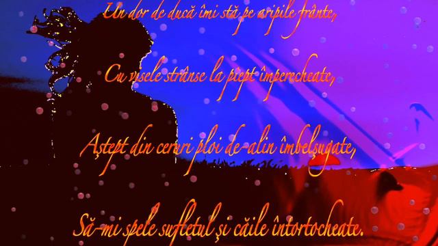Poezie recitata Sonetul răbdării смотреть онлайн