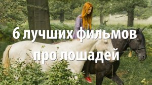 6 лучших фильмов про лошадей