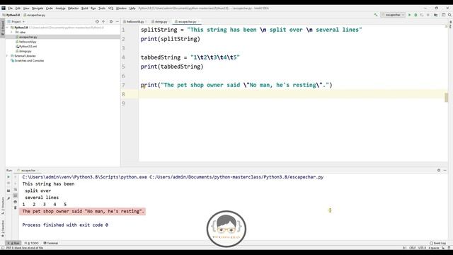The Escape Character | Complete Python Tutorials For Beginners In Hindi #8 смотреть онлайн