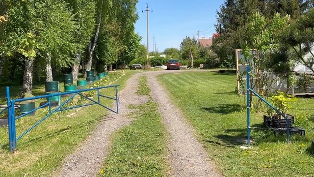 Секретики украшения сада. Сажаем цветы в контейнеры. Колеусы - новая садовая мода. смотреть онлайн