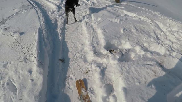 Прогулка с Батей. Охота на зайцОв. смотреть онлайн