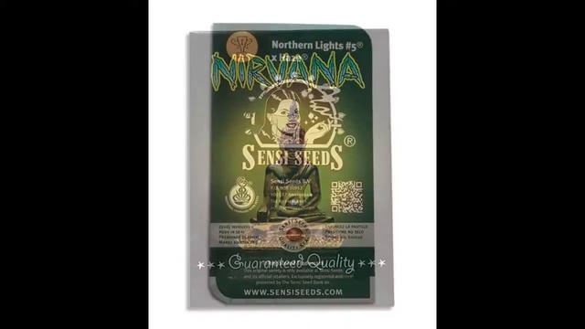 T.H.Seeds смотреть онлайн