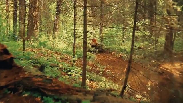 STELS GUEPARD 2016 смотреть онлайн
