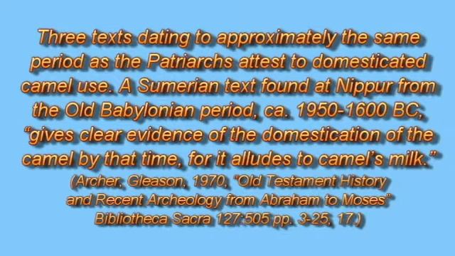 The 9th century domesticated camel theory смотреть онлайн