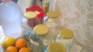 БЕРЕЗОВЫЙ СОК С ЛИМОНОМ И АПЕЛЬСИНАМИ. КАК И ГДЕ МЫ ЕГО ЗАГОТАВЛИВАЕМ