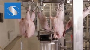 Линия для разделки птицы ✓автоматическая обвалка птицы ®