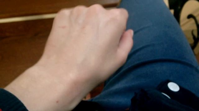 Белка в доме: ответы на вопросы смотреть онлайн