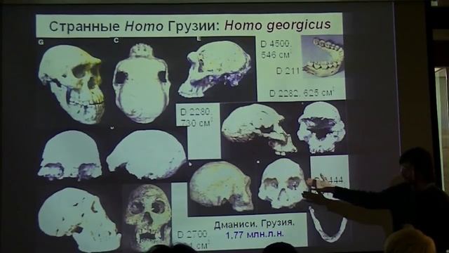 Эти таинственные ранние Homo. Станислав Дробышевский смотреть онлайн