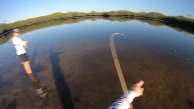 BEST Way To Catch Fish During Low Tide - Kayak Fishing for Whatever Bites смотреть онлайн