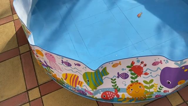 Детский бассейн Intex