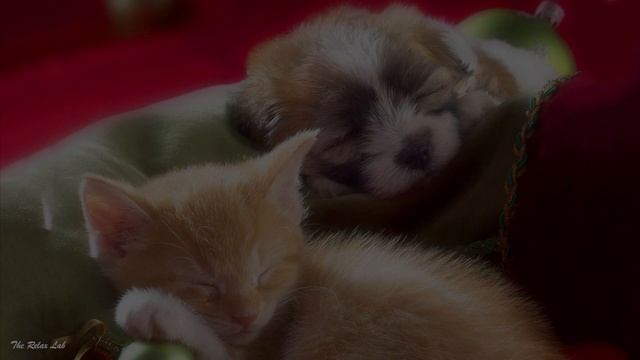 Самая лучшая колыбельная музыка для любимых людей. смотреть онлайн