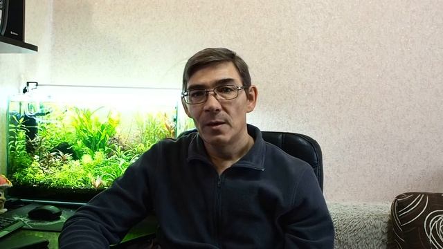 Удобрения для аквариума и их применение смотреть онлайн
