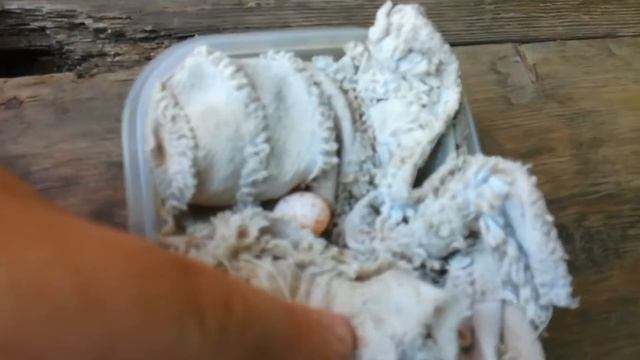 Нашли яйцо смотреть онлайн