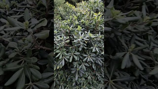 НЕ ПРИЕЗЖАЙТЕ В ДАГЕСТАН!! пока не увидите НАШИ ТУРЫ, ЖЕМЧУЖИНА ЮжДага, самый чистый пляж Дагестана смотреть онлайн