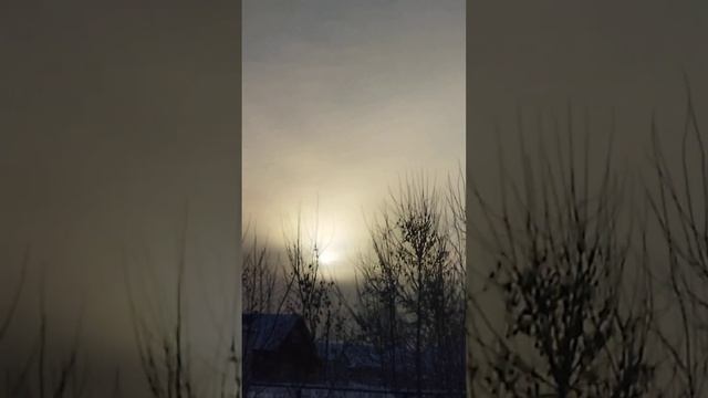 РЕКОМЕНДУЮ АНЕКДОТ. КАРТОШКУ... смотреть онлайн