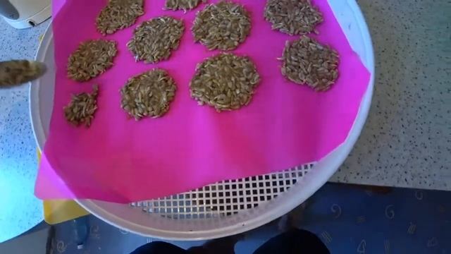 Рецепт козинаков. Из пророщенных семян подсолнечника смотреть онлайн