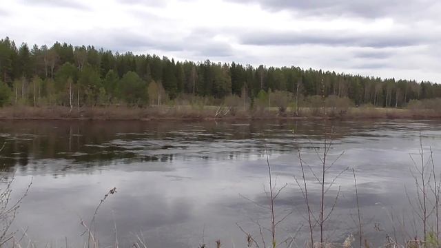 Живём в деревне. Влог об озере где мой мостик. смотреть онлайн