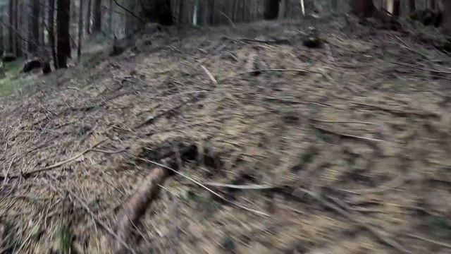 По Білі Гриби в Карпати 06.08.2023 смотреть онлайн