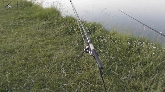 Рыбалка Меша сазан продолжаем смотреть онлайн