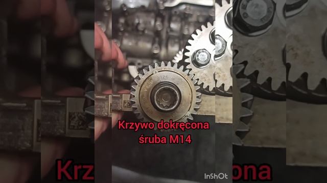 Uszkodzona pompa oleju 2.0 TDI AUDI VW SEAT SKODA смотреть онлайн