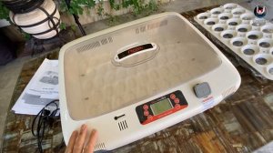 Инкубатор R COM Pro 50. Лучший инкубатор?