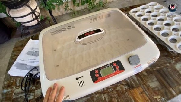 Инкубатор R COM Pro 50. Лучший инкубатор?