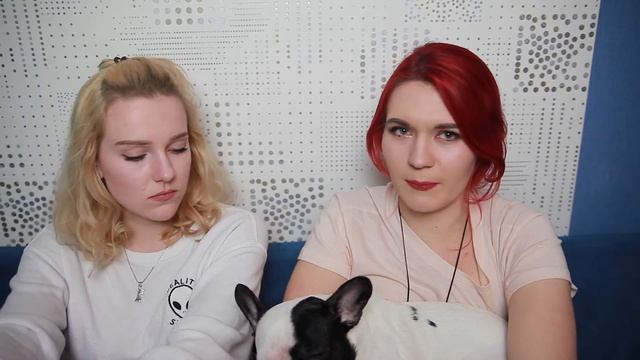 КАК У НАС ПОЯВИЛАСЬ СОБАКА? ИСТОРИЯ МИЛКИ ? смотреть онлайн