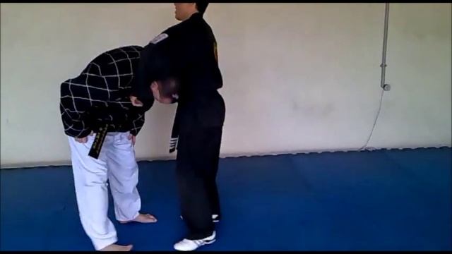 TÉCNICAS DE VERDE 5 - HAPKIDO HOSHINKWAN смотреть онлайн