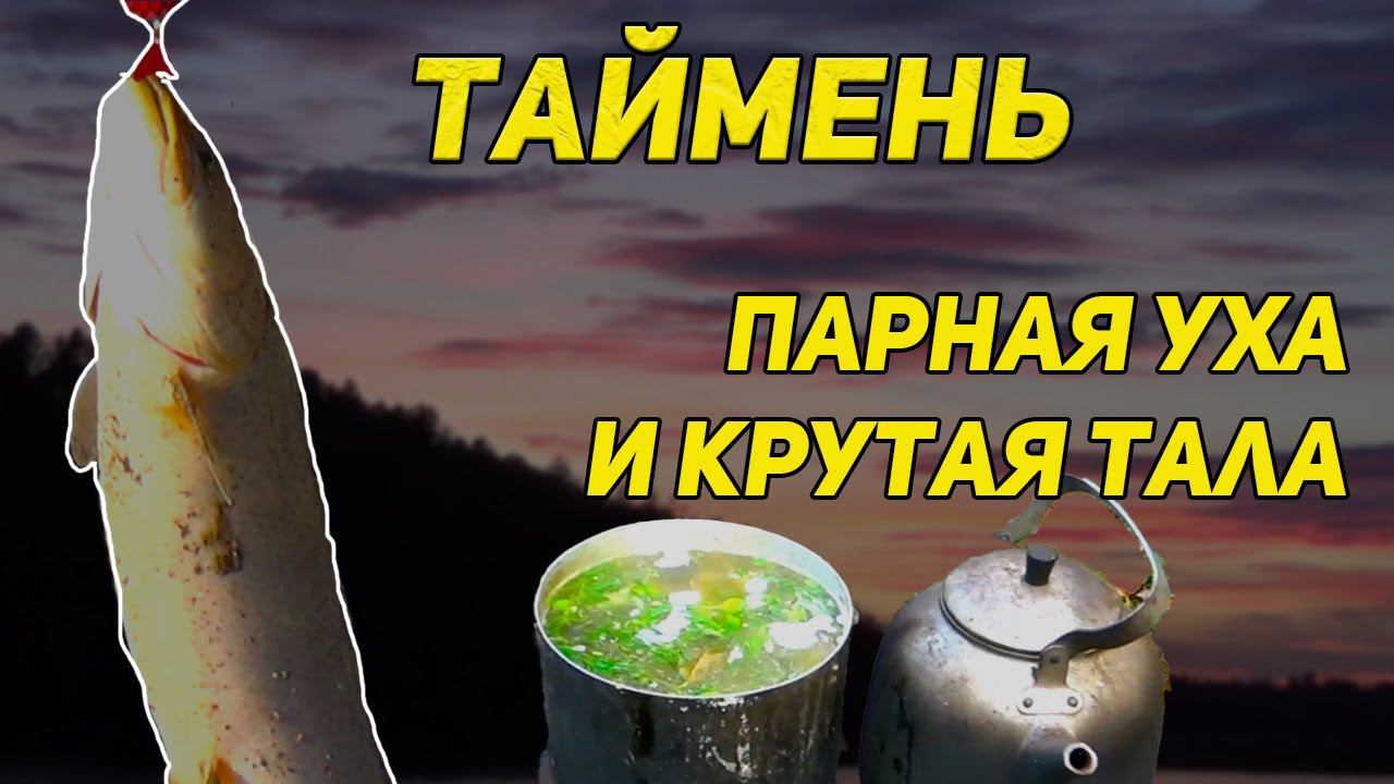 На рыбалке. Из парного тайменя. Уха с дымком да тала с чесноком. смотреть онлайн